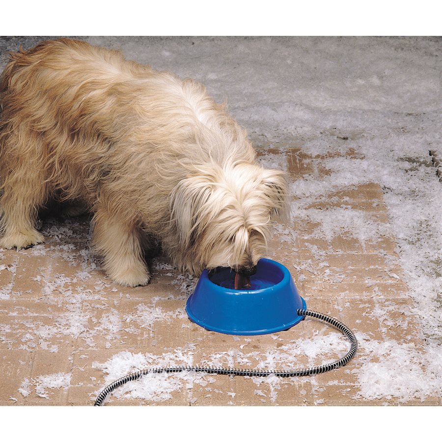 Dog electric water bowl clearance