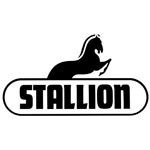 Stallion Stallion