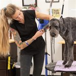 Blouse de toilettage Sophia noire