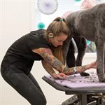 Blouse de toilettage Sophia noire