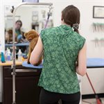 Sophia Style Smocks Island Garden