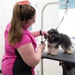 Sophia Style Smocks Fuschia Fever