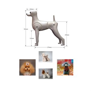 Teddy Full Body Model