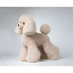 Modèle Teddy corps complet