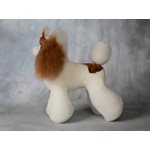 Modèle Teddy corps complet