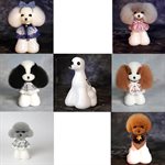 Modèle de tête Teddy