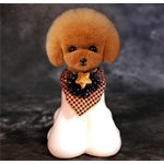 Modèle de tête Teddy