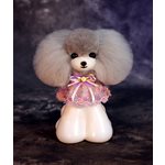 Modèle de tête Teddy