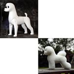 Modèle Bichon corps complet