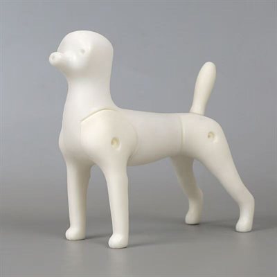 Modèle petit chien multi-usage