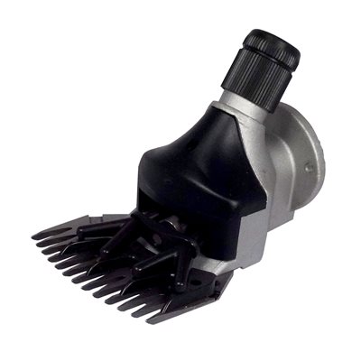 Tete tonte heiniger large ovin