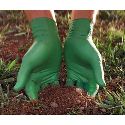 Gants Biodegradables Verts 4 MIL Medium Boite de 100 Gants Biodegradables Verts 4 MIL Medium Boite de 100
