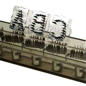 Letter D Needle Point