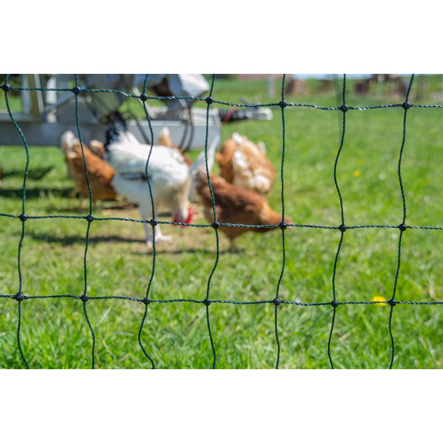 Pellicola Gialla 2x50m Pellicola Frenovapore Gialla 2m X 50m - Barriera Al Vapore Per Isolamento Termico Pellicola Edilizia