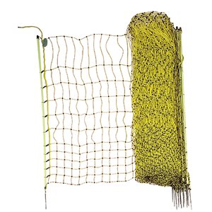 Filet border net volaille simple pointe