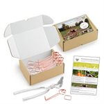Coffret Anti-Taupes