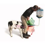Sac pour colostrum Trusti 4L